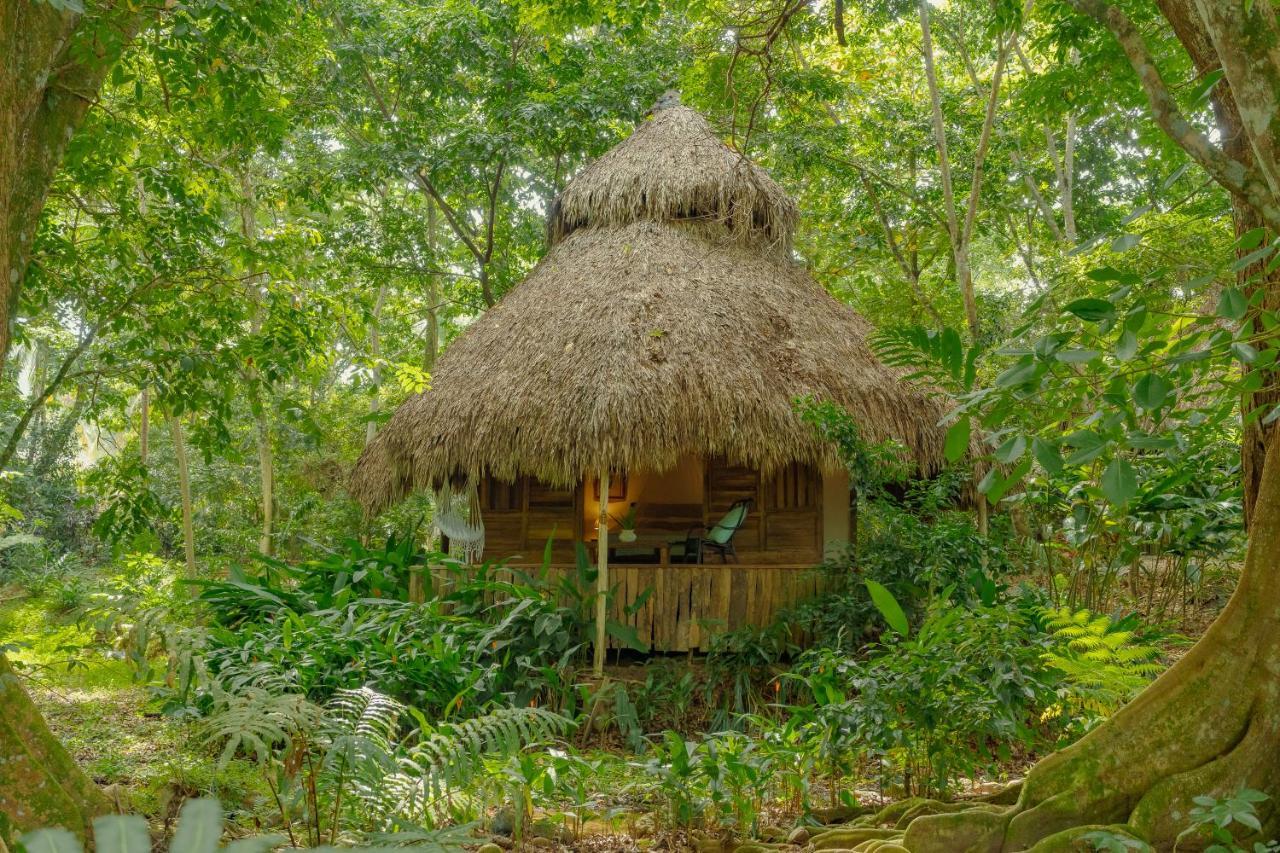 El Valle Lodge Ngoại thất bức ảnh